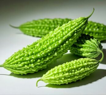 Bitter Gourd (500 g)