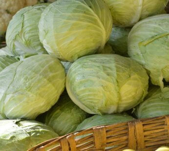 Cabbage (per piece)
