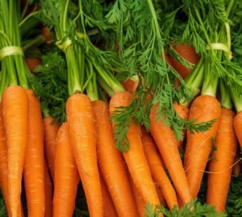Carrot (500 g)