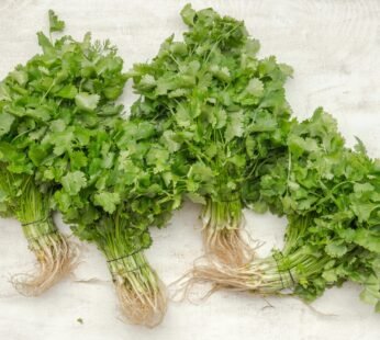 Coriander (100 g)