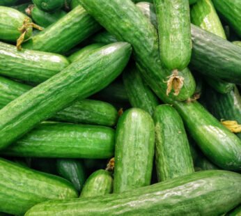 Cucumber (500 g)