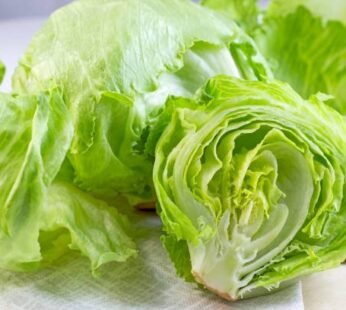 Iceberg Lettuce (1 piece)