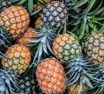 Pineapple (per piece)