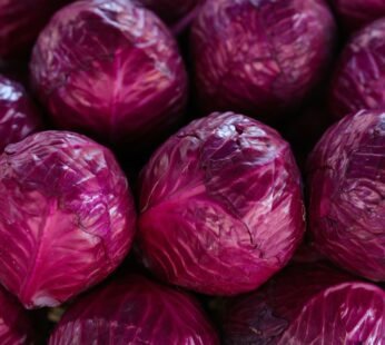Purple Cabbage (1 piece)