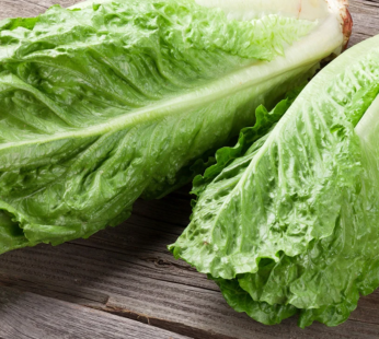 Romaine Lettuce (1 piece)