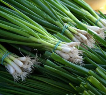 Spring Onion (250 g)