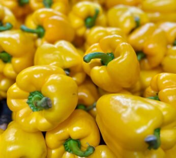Yellow Bell Pepper (250 g)
