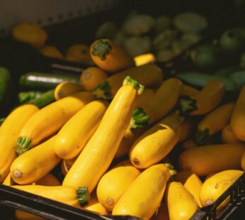 Zucchini Yellow (500 g)